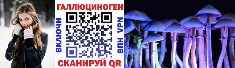 Галлюциногенные грибы Magic Shrooms  Борисоглебск 