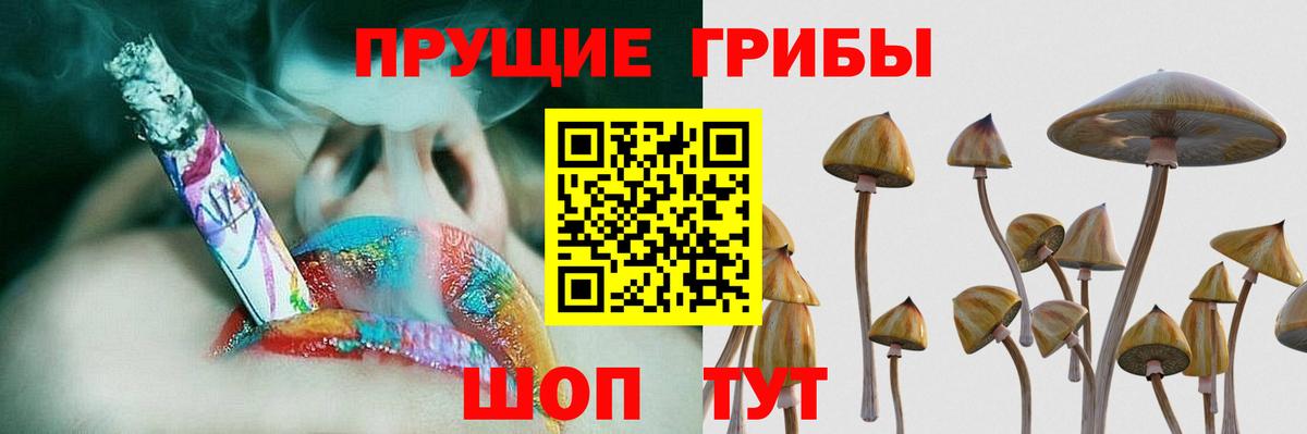 Псилоцибиновые грибы Magic Shrooms  Вход с VPN  Борисоглебск 
